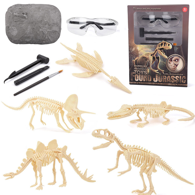 Zestaw do wykopalisk fosiliów  – Science Kit recenzja i cena