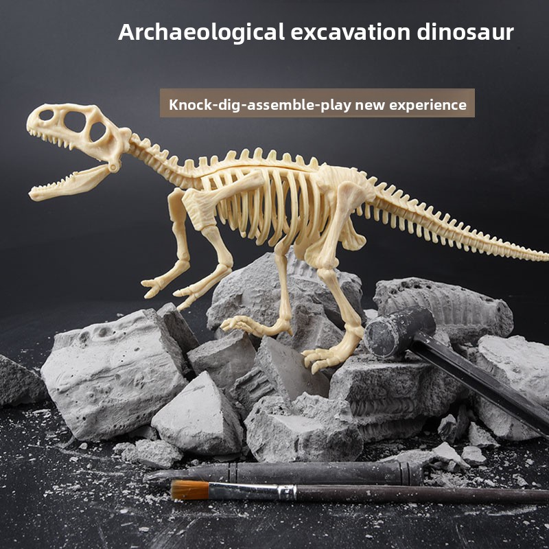 Zestaw do wykopalisk fosiliów  – Science Kit recenzja i cena