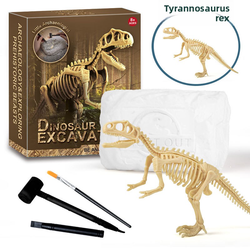 Zestaw do wykopalisk fosiliów  – Science Kit recenzja i cena